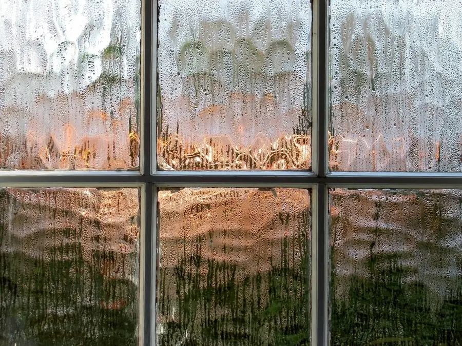 Decorative obscure glass window with a warped, textured view through it