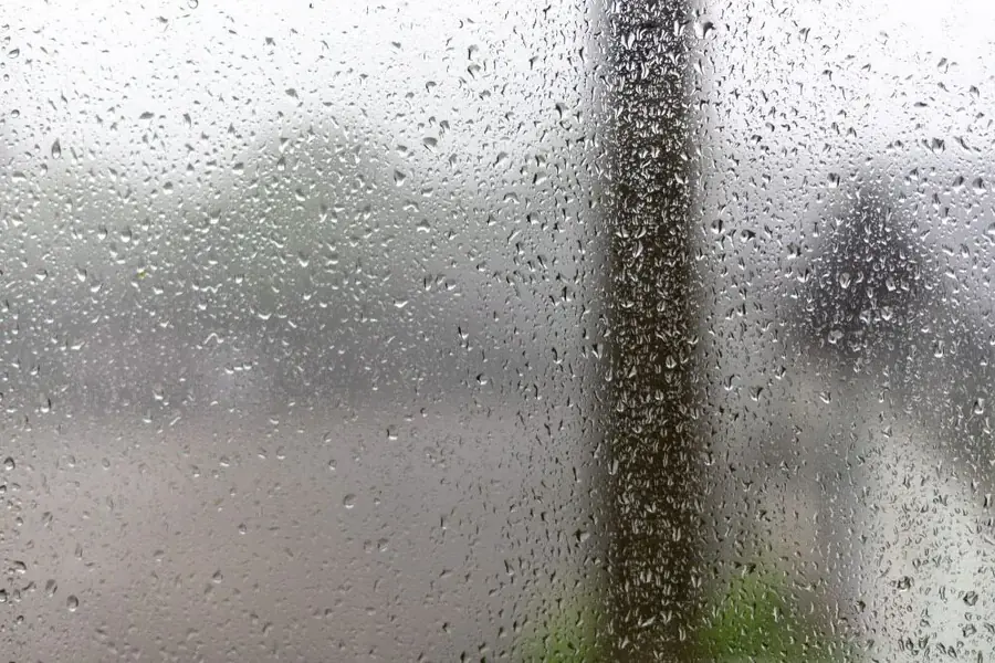 Close-up of condensation droplets on a window pane